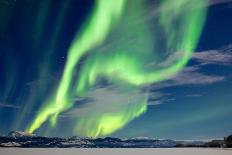 Intense Northern Lights or Aurora Borealis or Polar Lights on Moon Lit Night Sky over Winter Landsc-Pi-Lens-Photographic Print