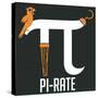 Pi-rate-IFLScience-Stretched Canvas