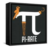 Pi-rate-IFLScience-Framed Stretched Canvas