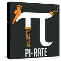Pi-rate-IFLScience-Stretched Canvas