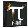 Pi-rate-IFLScience-Framed Poster