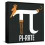 Pi-rate-IFLScience-Framed Stretched Canvas