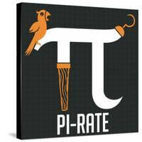 Pi-rate-IFLScience-Stretched Canvas