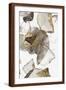 Brown Frame