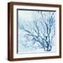 Brown Frame