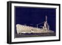 Black Frame