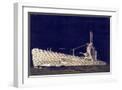 White Frame