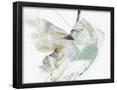 Essential Black