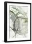 Black Frame