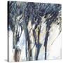 Stretched Canvas