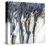 Stretched Canvas