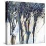 Stretched Canvas