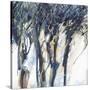 Stretched Canvas