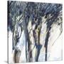 Stretched Canvas
