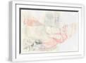 White Frame