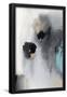 Essential Black