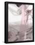 Essential Black