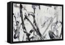 Canvas Black