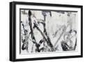 Black Frame