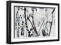 Black Frame