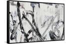 Canvas Black