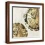 Brown Frame