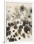 Gramercy White