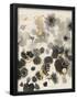 Essential Black