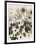 Gramercy Black