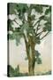Stretched Canvas