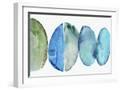 White Frame