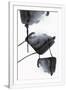 Gramercy White