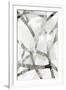 Gramercy White