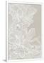 Gramercy White