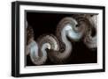 Black Frame