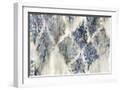 White Frame