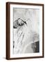 Brown Frame