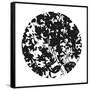 Canvas Black