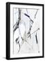 Black Frame