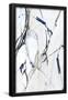 Essential Black