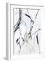 White Frame