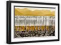 Black Frame