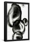 Essential Black