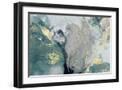 Black Frame