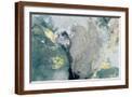 Brown Frame