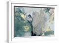 White Frame