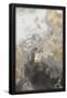 Essential Black