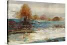 Stretched Canvas