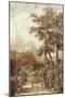 Wood Mount
