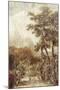 Wood Mount